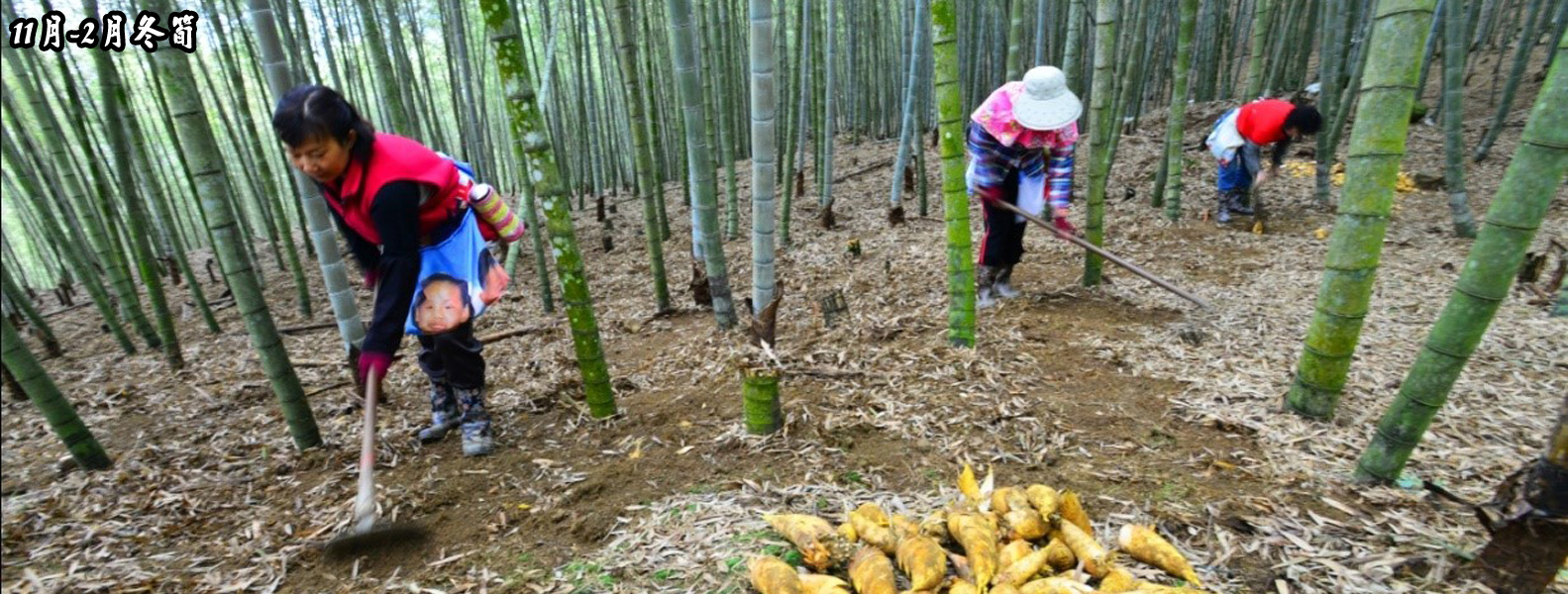 小半天由來